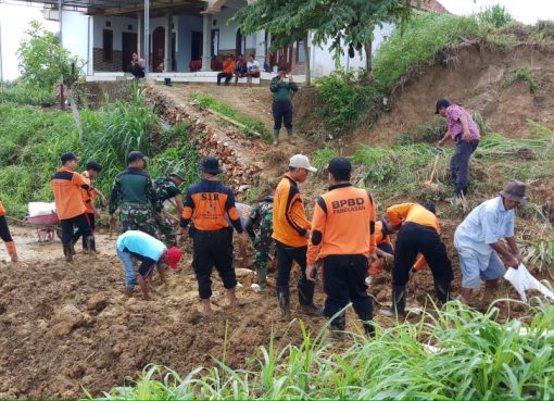 POHON TUMBANG DAN LONGSOR MEWARNAI AWAL TAHUN 2020