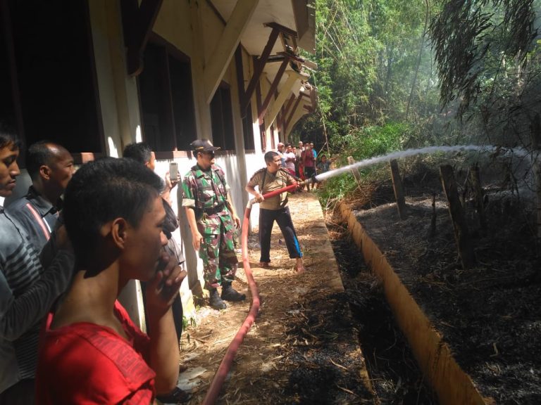 RUMPUN BAMBU TERBAKAR,MENGANCAM SDN……( Latepost )