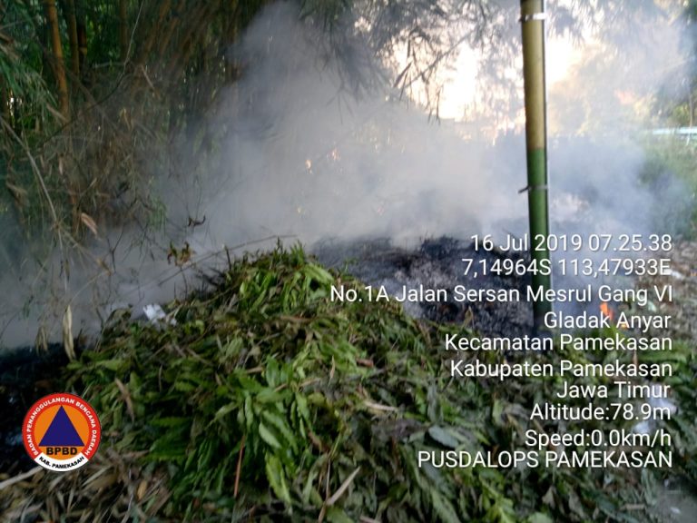 LAGI, TERBAKAR LAHAN POHON BAMBU