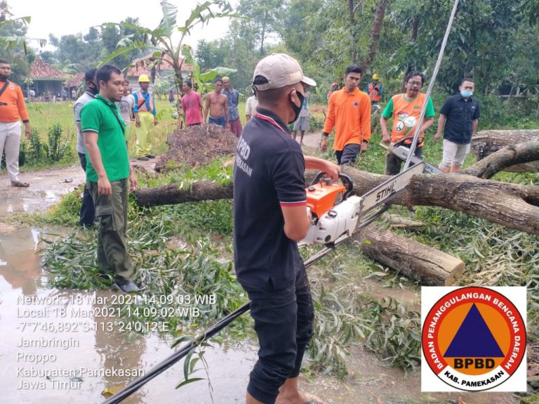 ANGIN KENCANG, BEBERAPA POHON TUMBANG MENIMPA RUMAH